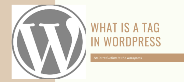 Categories and tags in WordPress