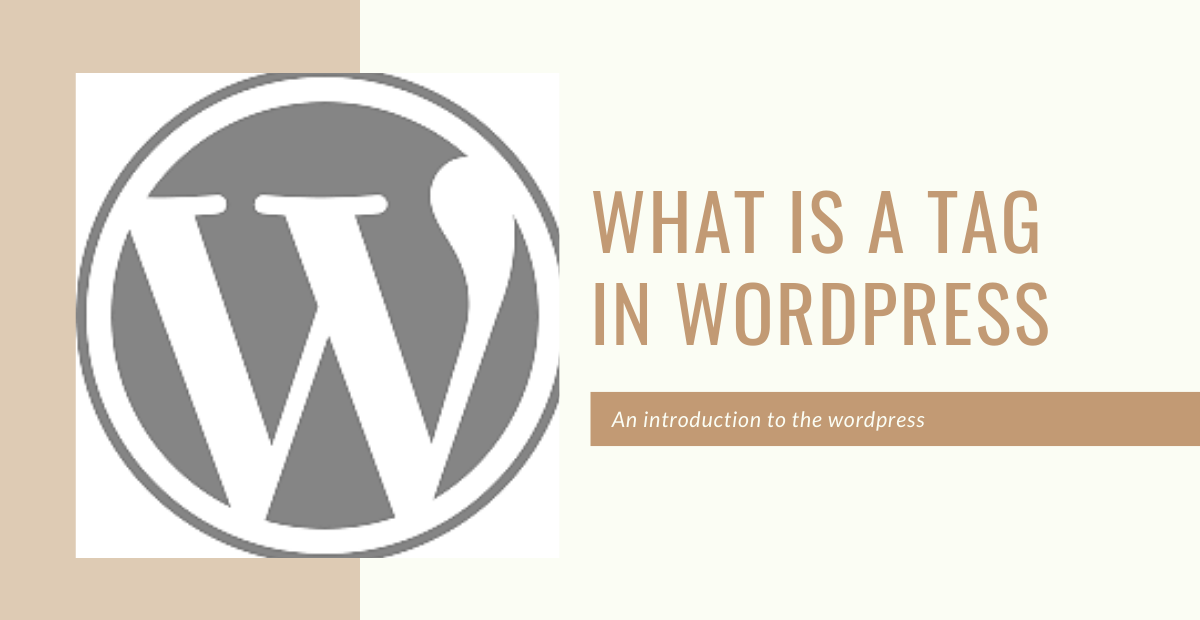 What are the Categories and Tags in WordPress