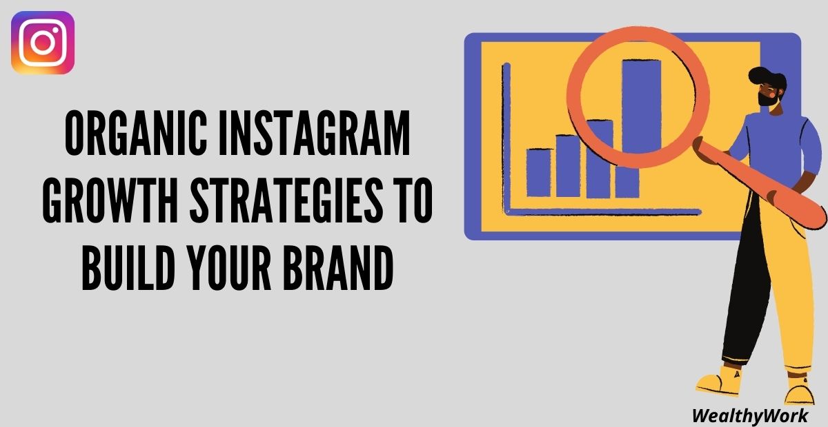 Instagram Growth With Organic Content