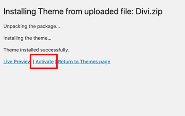 Live preview and activating theme on WordPress option.