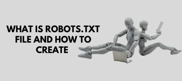 What is robots.txt file