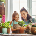 10 Easy Home Gardening Tips for Beginners