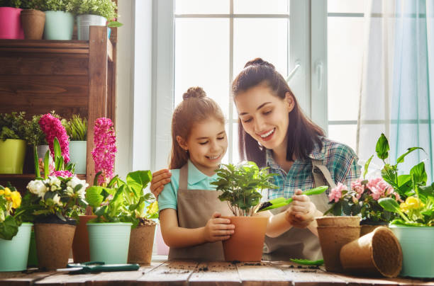 10 Easy Home Gardening Tips for Beginners