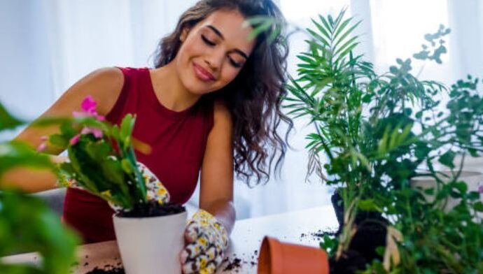 Discover the mental health benefits of home gardening